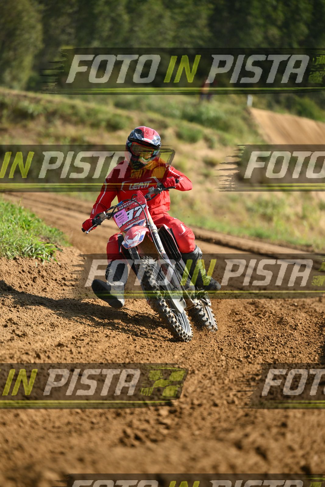 187 · DSH_7027