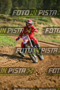 187 · DSH_7028