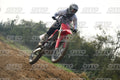 11 · DSH_7029