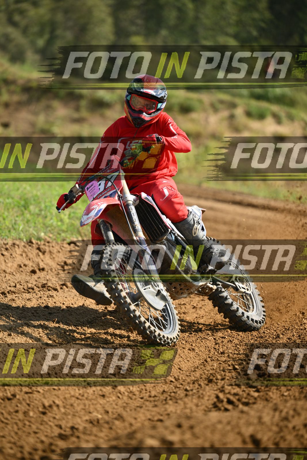187 · DSH_7030