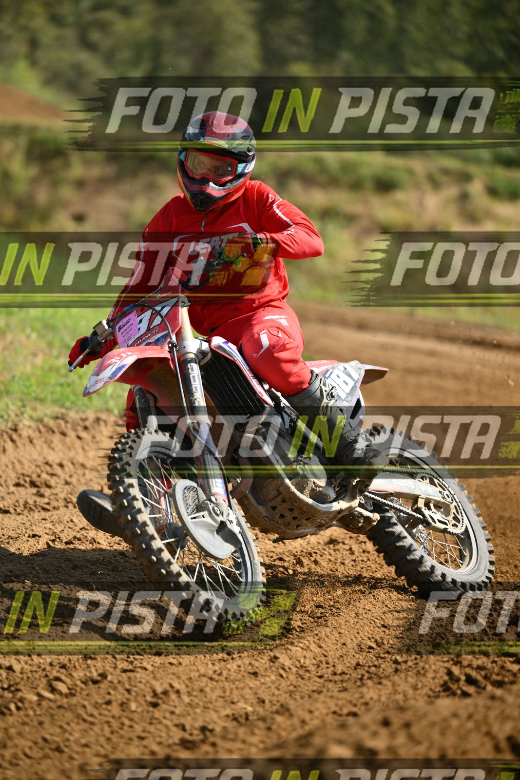 187 · DSH_7031
