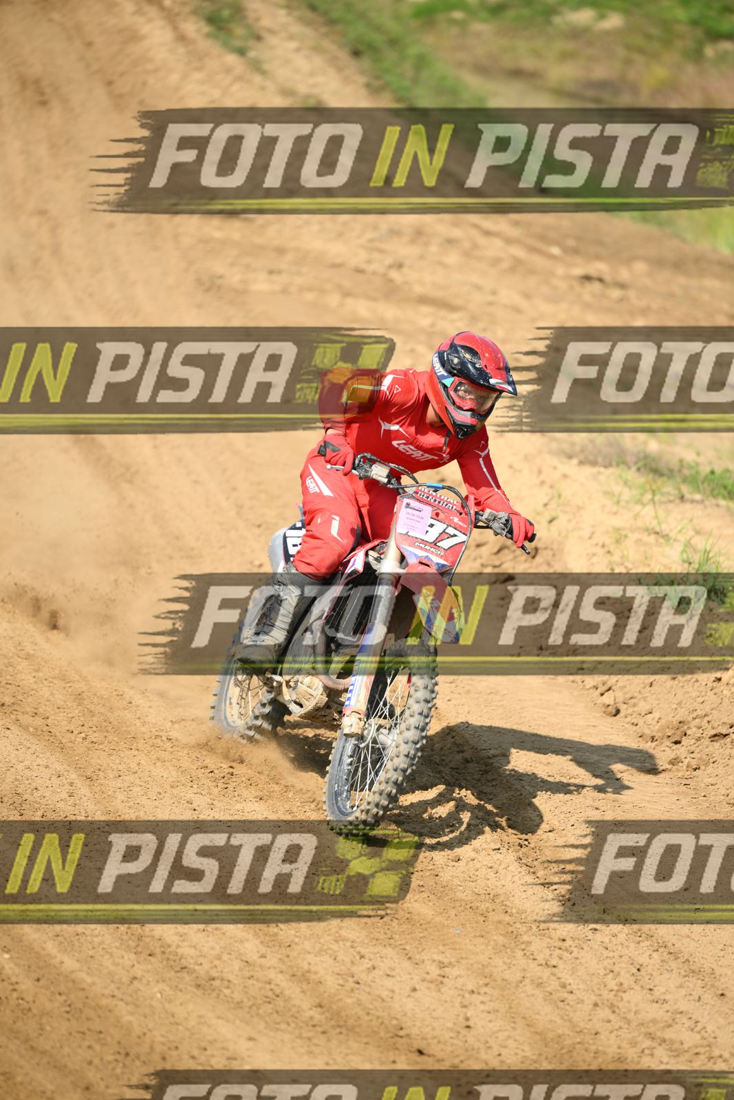 187 · DSH_7062