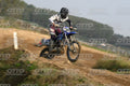 36 · DSH_7077