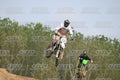 273 · DSH_7172
