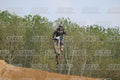 459 · DSH_7193