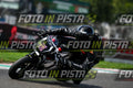 pit nera · DSH_7202