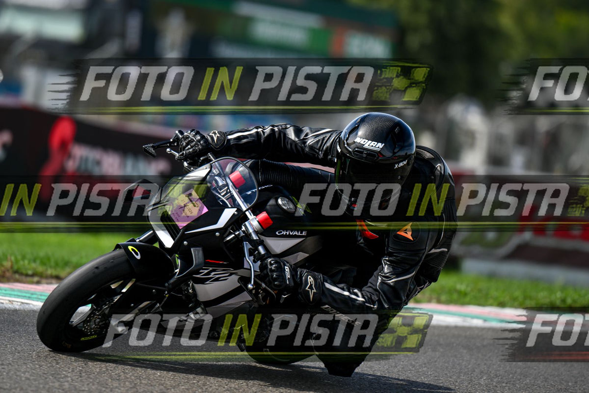 pit nera · DSH_7202