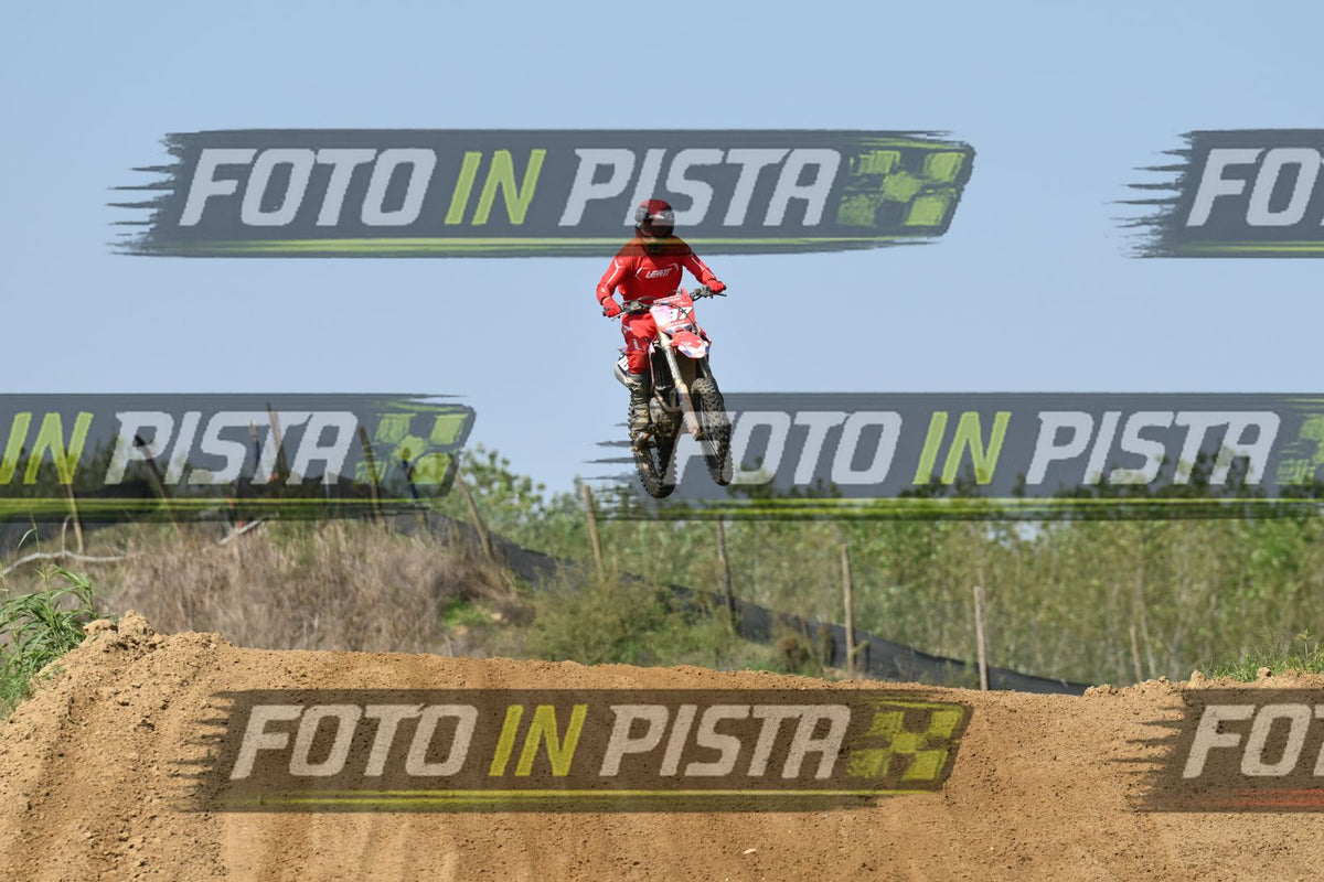 187 · DSH_7202