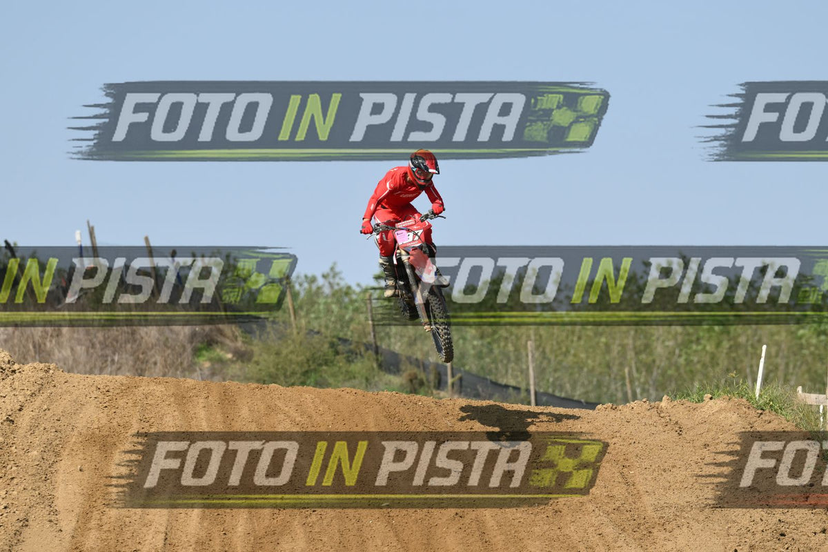 187 · DSH_7206