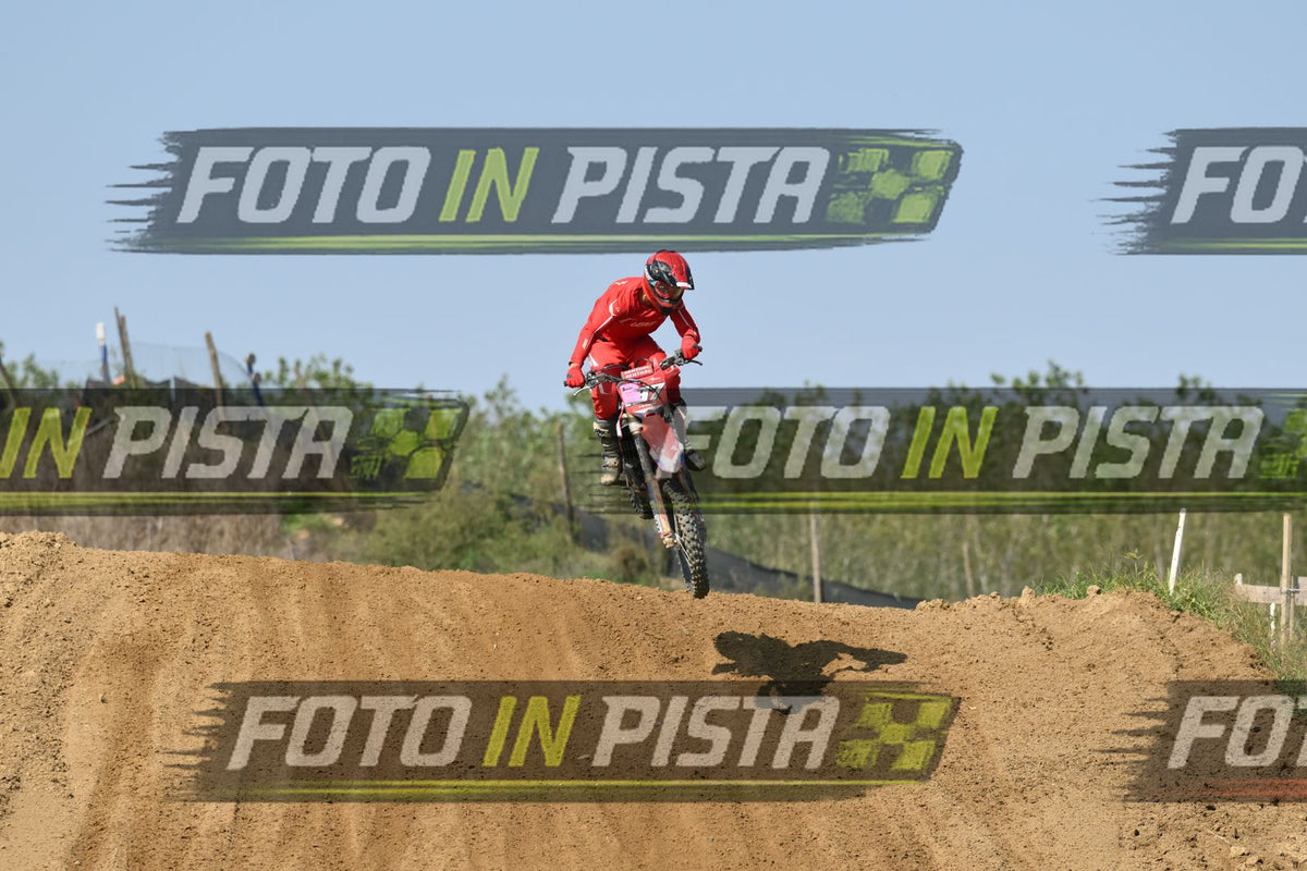 187 · DSH_7207