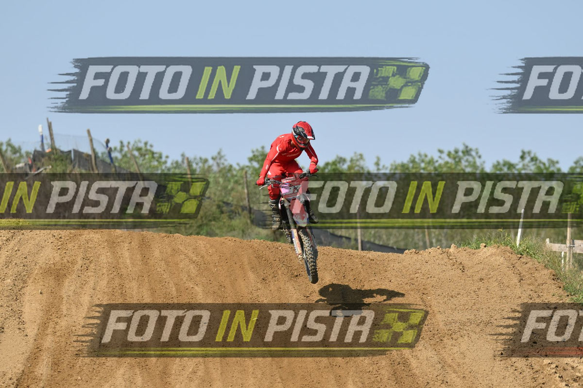 187 · DSH_7208