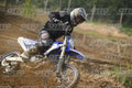 459 · DSH_7245