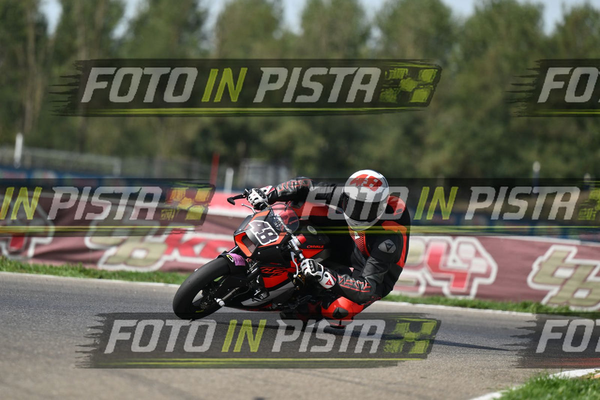 48 · DSH_7253