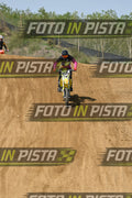 91 · DSH_7264