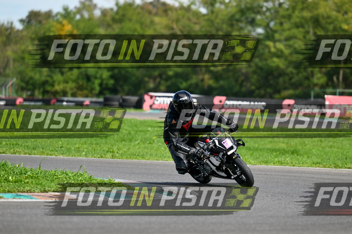 pit nera · DSH_7314