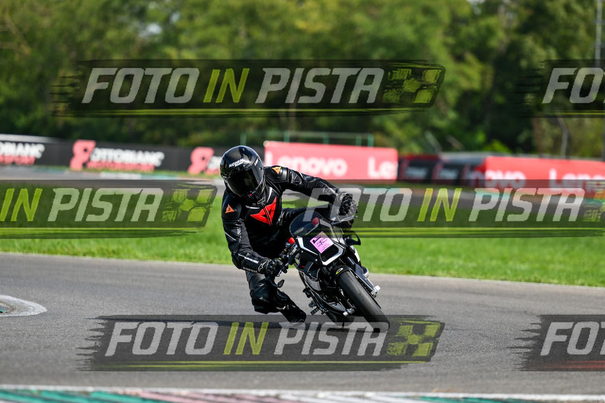 pit nera · DSH_7316