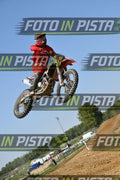 187 · DSH_7319