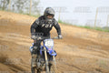 459 · DSH_7323