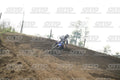 36 · DSH_7353