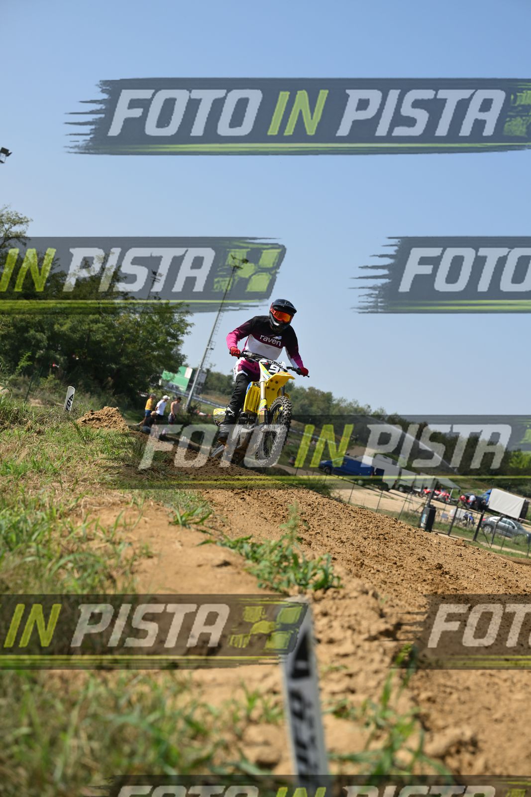 91 · DSH_7355
