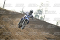 36 · DSH_7357