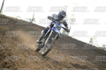 36 · DSH_7358