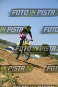 91 · DSH_7361