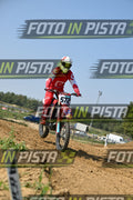 572 · DSH_7370