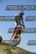 22 · DSH_7381