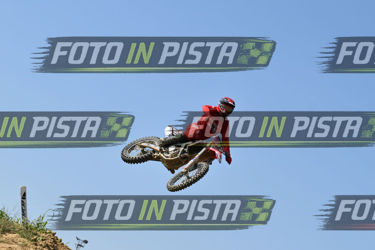 187 · DSH_7421
