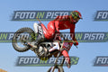 187 · DSH_7429