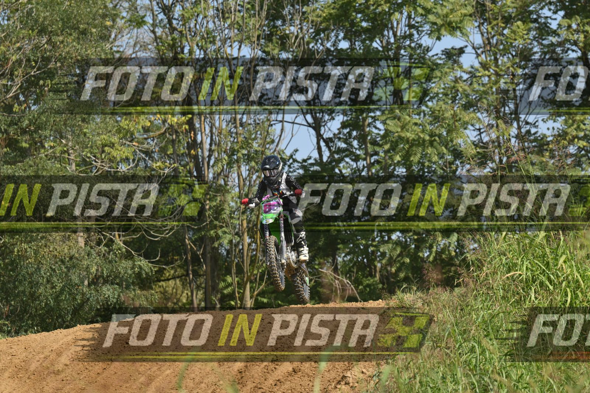 86 · DSH_7441