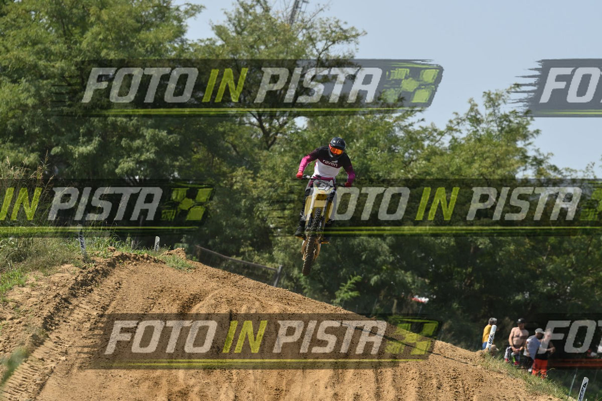 91 · DSH_7448