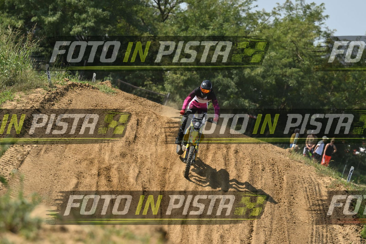91 · DSH_7452