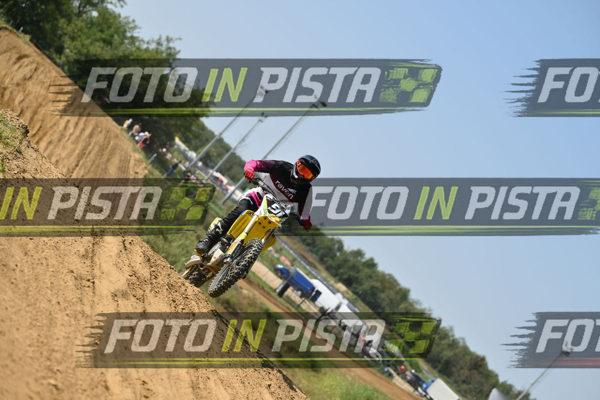 91 · DSH_7454
