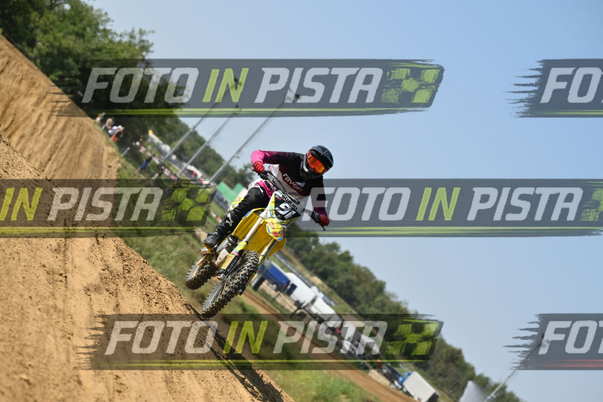 91 · DSH_7455