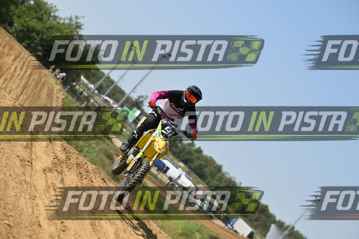 91 · DSH_7456