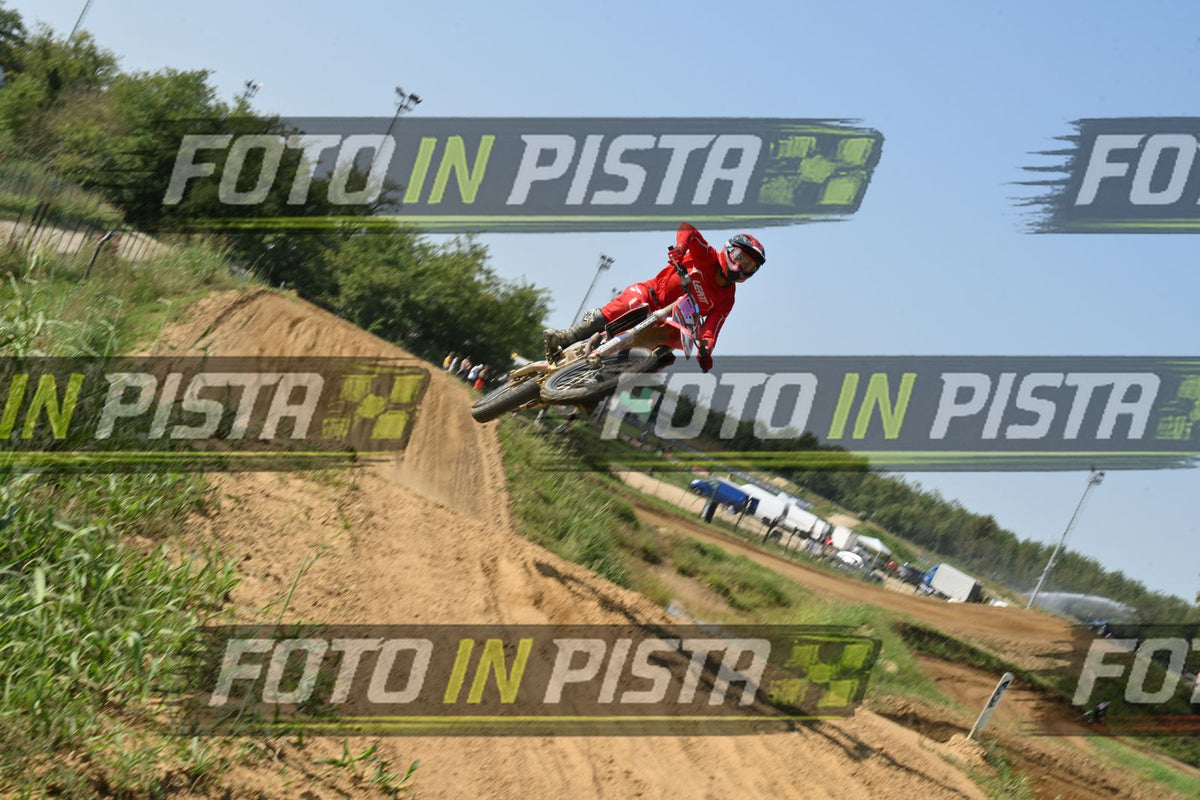 187 · DSH_7507