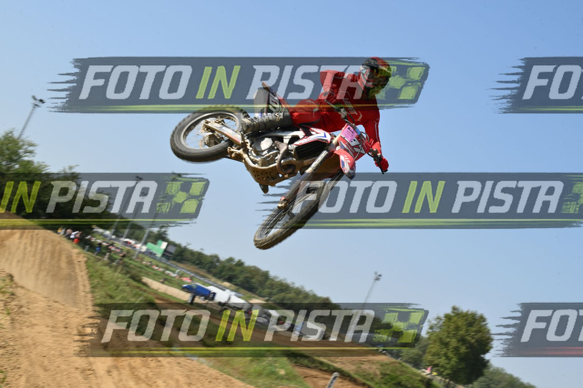 187 · DSH_7511
