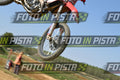 187 · DSH_7515