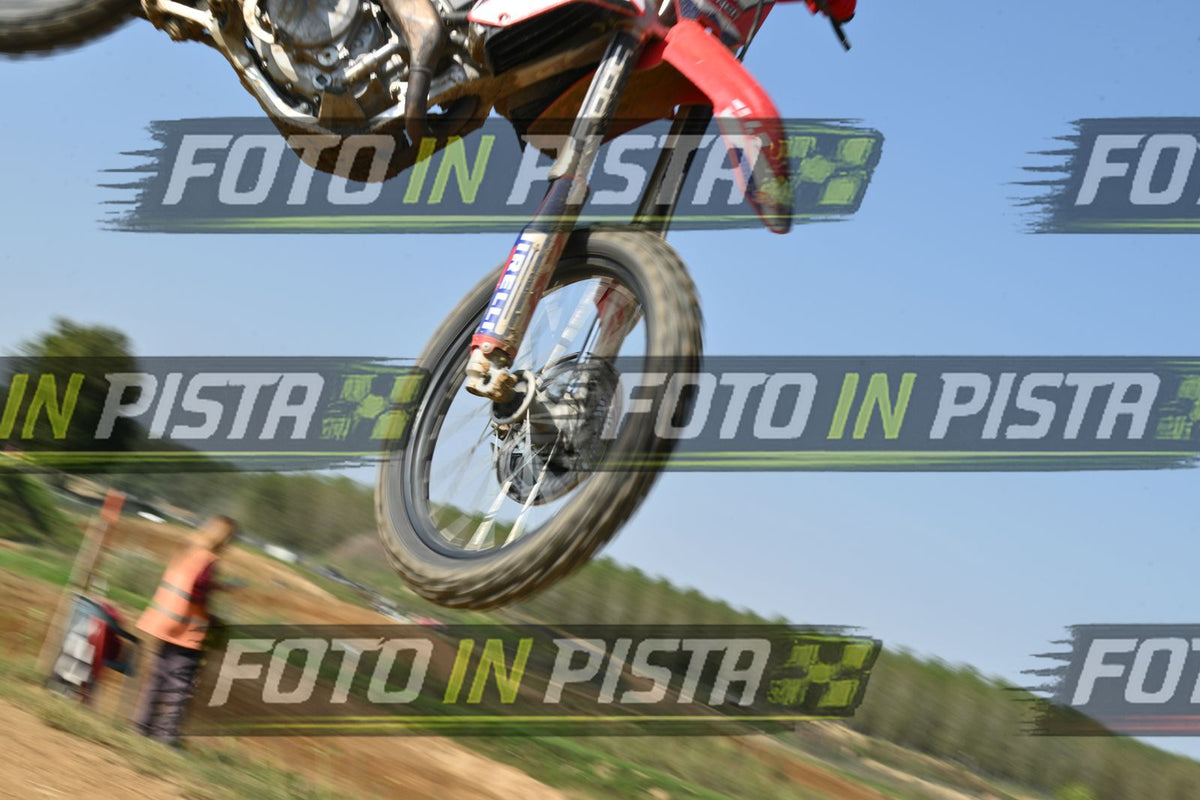 187 · DSH_7515