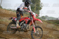 155 · DSH_7515