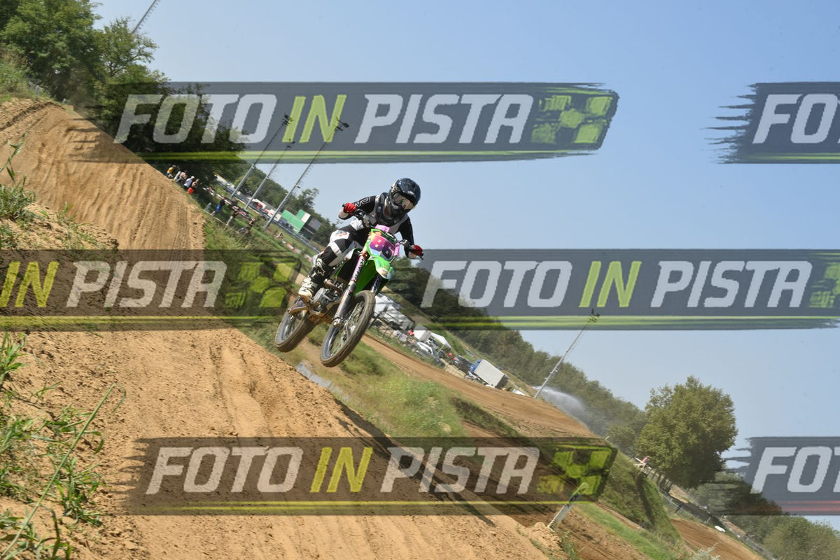 86 · DSH_7519