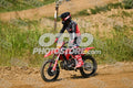 19 · DSH_7541