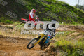 215 · DSH_7549