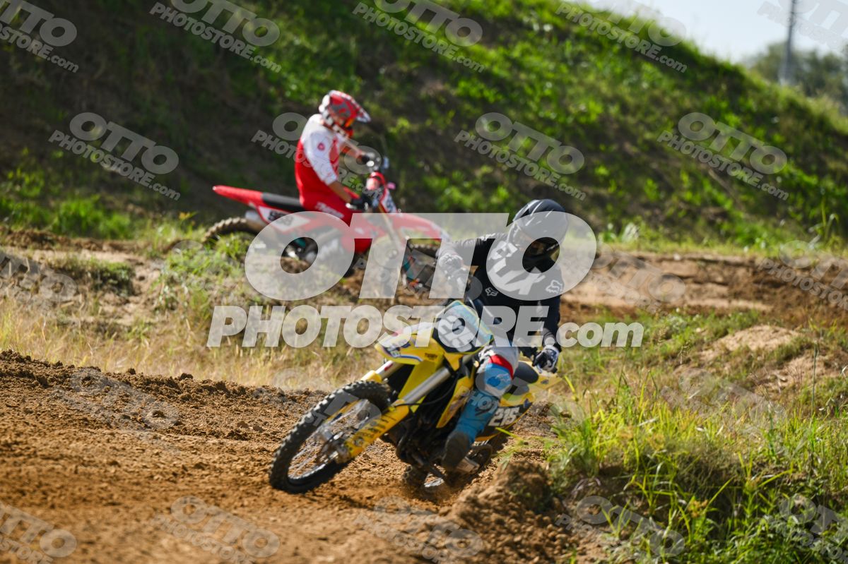 215 · DSH_7549