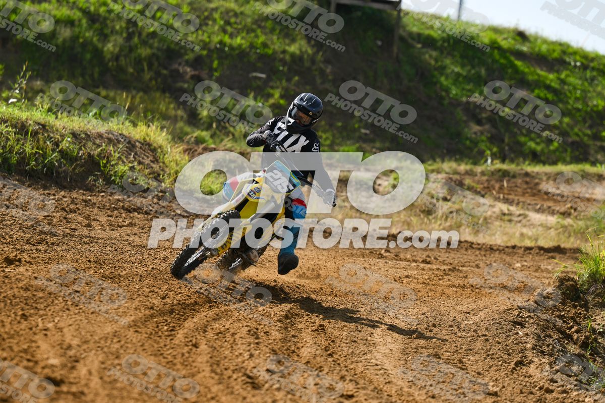 215 · DSH_7553