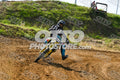215 · DSH_7558