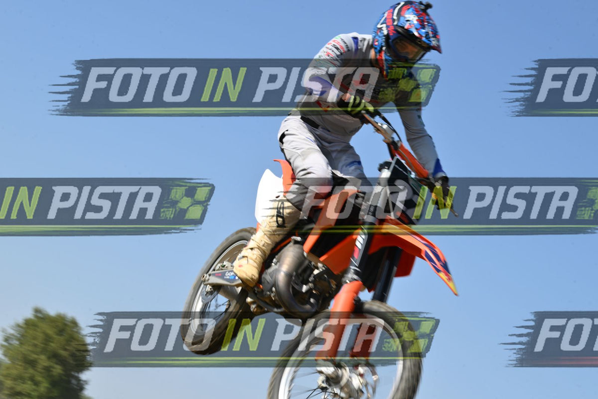 22 · DSH_7561