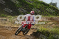 958 · DSH_7568